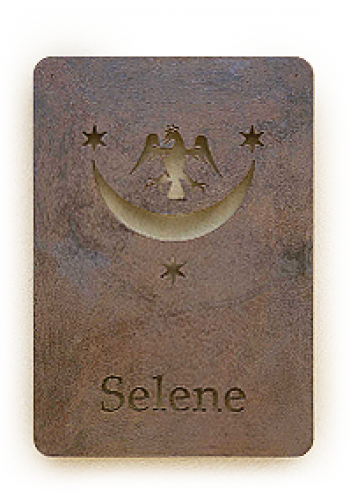 selene_logo
